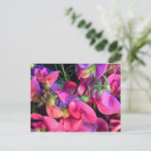 カーリー ポストカード (スタンド正面)