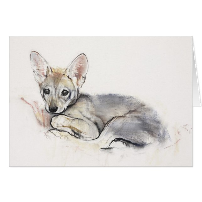 カールされたアラビアのオオカミ子犬2009年 (正面横)