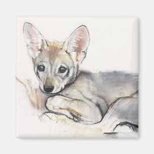 カールされたアラビアのオオカミ子犬2009年 マグネット