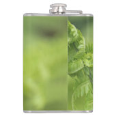 カールのシダの葉、緑の草木は、背景をぼやけました フラスク (裏面)