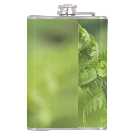 カールのシダの葉、緑の草木は、背景をぼやけました フラスク (裏面)