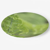 カールのシダの葉、緑の草木は、背景をぼやけました ペーパープレート (アングル)