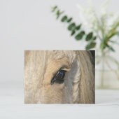 カールはアメリカのカーリーホースを持っている ポストカード (スタンド正面)