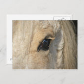 カールはアメリカのカーリーホースを持っている ポストカード (正面/裏面)