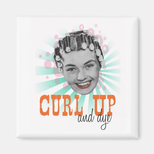 カールアップ及び色素磁石 マグネット (正面)