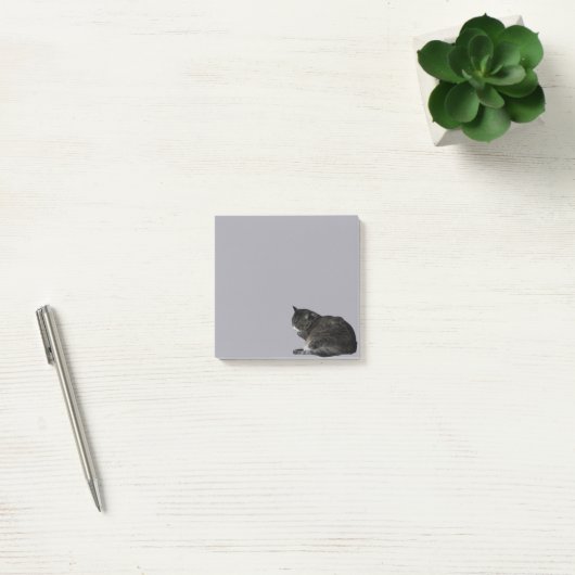 カールストライプのアップ猫フォト切り出し紫 ポストイット (オフィス)