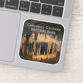 カールスバッドカーバーンズ国立公園ニューメキシコ シール