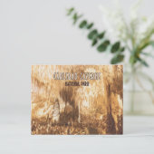 カールスバッドカーバーンズ国立公園ニューメキシコ ポストカード (スタンド正面)