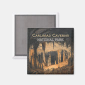 カールスバッドカーバーンズ国立公園ニューメキシコ マグネット (正面/裏面)