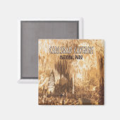 カールスバッドカーバーンズ国立公園ニューメキシコ マグネット (正面/裏面)