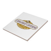 カールスバッドカーヴァンス国立公園 タイル (側面)