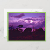 カールスバッドカーヴァンス国立公園 ポストカード (正面/裏面)