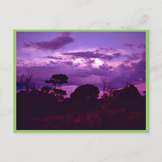 カールスバッドカーヴァンス国立公園 ポストカード (正面)