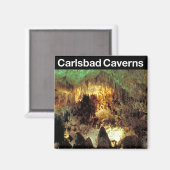 カールスバッドカーヴァンス国立公園 マグネット (正面/裏面)