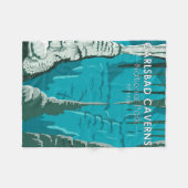 カールスバッドカーヴェンズナショナルパークヴィンテージ フリースブランケット (正面(横))