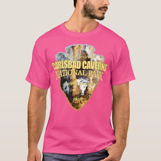 カールスバッド国立公園(矢印) Tシャツ (正面)