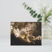 カールスバッド洞窟 ポストカード (スタンド正面)