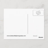 カールスバッド洞窟 ポストカード (裏面)