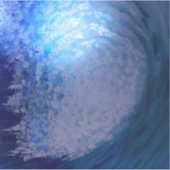 カール中 シール (正面)