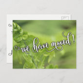 カール緑シダ写真「移動した」通知 案内ポストカード (正面/裏面)