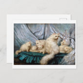 カール・カーラー・ホワイト・キャット・ファミリー ポストカード (正面/裏面)