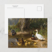 カール・ジュツによる水辺のアヒル ポストカード (正面/裏面)