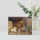 カール・ジュツによるCoopの鶏 ポストカード (スタンド正面)