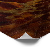 カール・スピッツウェグ、アンクンフトデアポストクチェ1859 ポスター (角)