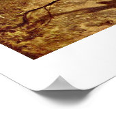 カール・スピツウェグの蝶ハンター ポスター (角)