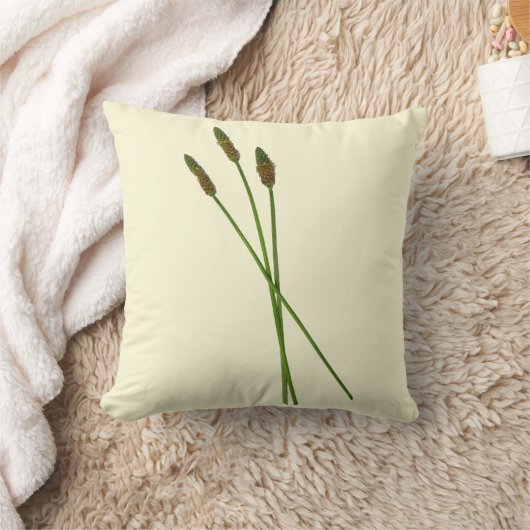 カール・ドディ クッション (ブランケット)