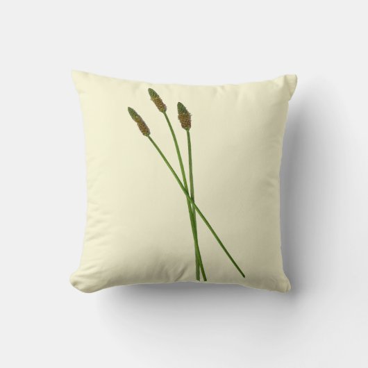 カール・ドディ クッション (正面)