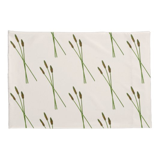 カール・ドディ 枕カバー (裏面-右)