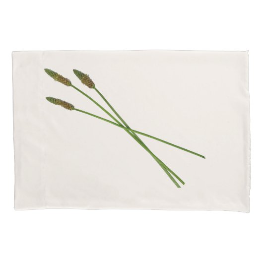 カール・ドディ 枕カバー (正面左)