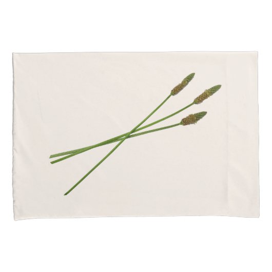 カール・ドディ 枕カバー (正面右)