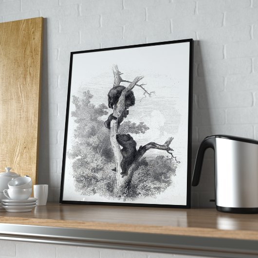 カール・ボドマー、レアワーズ(The Bears) ポスター