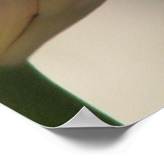 カール ポスター (角)