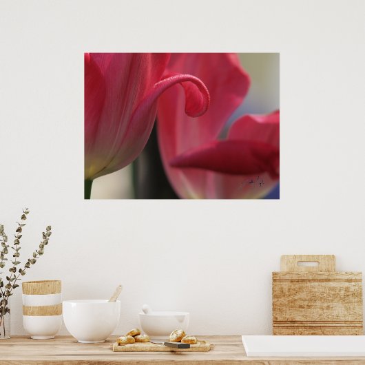 カール ポスター (キッチン)