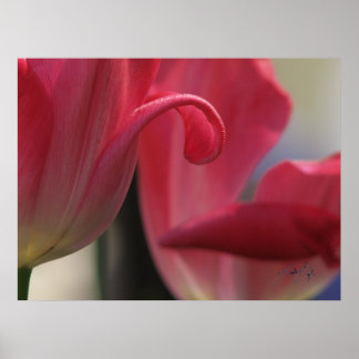 カール ポスター