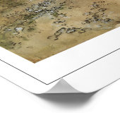 カール・ラルソン・ゼディング・アート・ポスター#261 ポスター (角)