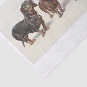 カール・リチェルト | Dachshund Dogs Oil Painting 薄葉紙 (詳細)