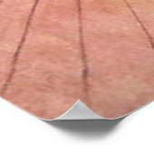 カールLarssonカリンピーリングルバーブファインアートポスター ポスター (角)