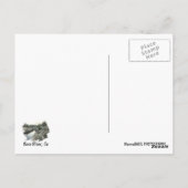 カーン川はがき！ ポストカード (裏面)