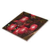 カーン·エル·カリリ·バザール、シャンデリアが売り物だ。 タイル (側面)