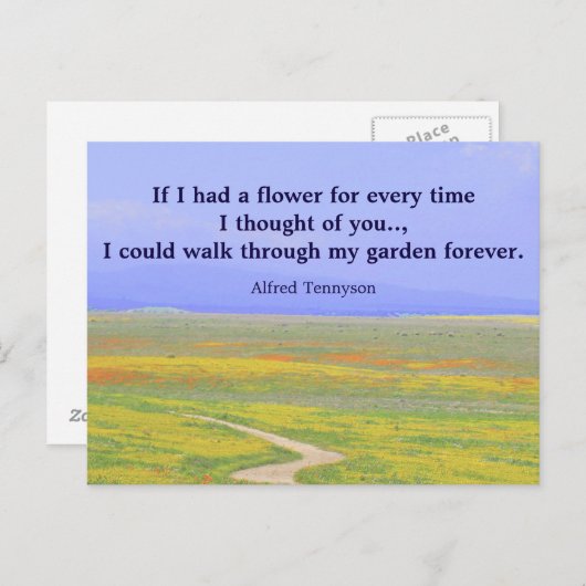 カー感動的ド考えの設定1 ポストカード (正面/裏面)