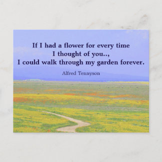 カー感動的ド考えの設定1 ポストカード