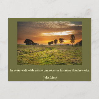 カー感動的ド自然1 ポストカード