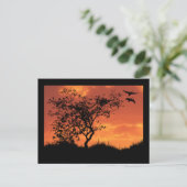 カー感動的ド1 ポストカード (スタンド正面)