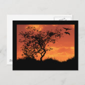 カー感動的ド1 ポストカード (正面/裏面)