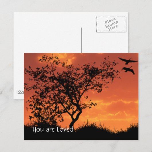 カー感動的ド1 ポストカード (正面/裏面)