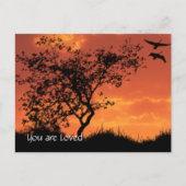 カー感動的ド1 ポストカード (正面)